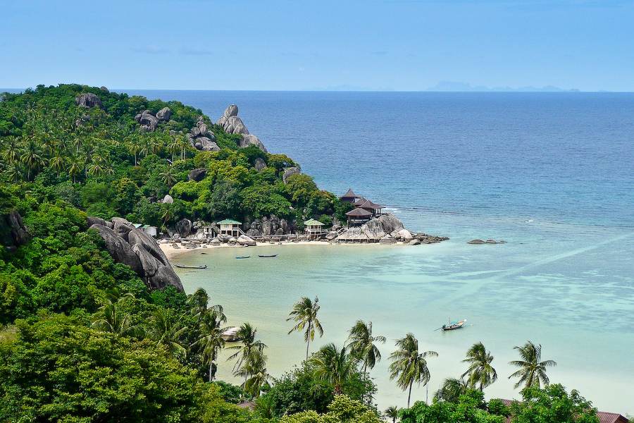 viol Koh Tao