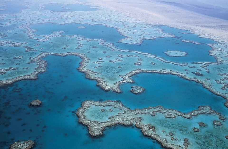 Australie, les entreprises de tourisme redoutent que les avertissements apocalyptiques des scientifiques ne fassent fuir les visiteurs