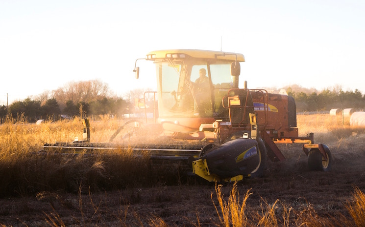 agriculteurs grèce