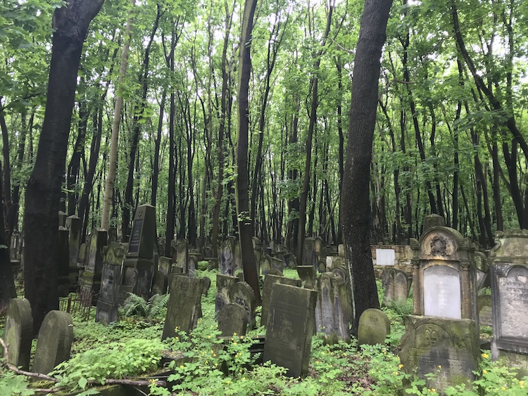 Cimetière juif varsovie