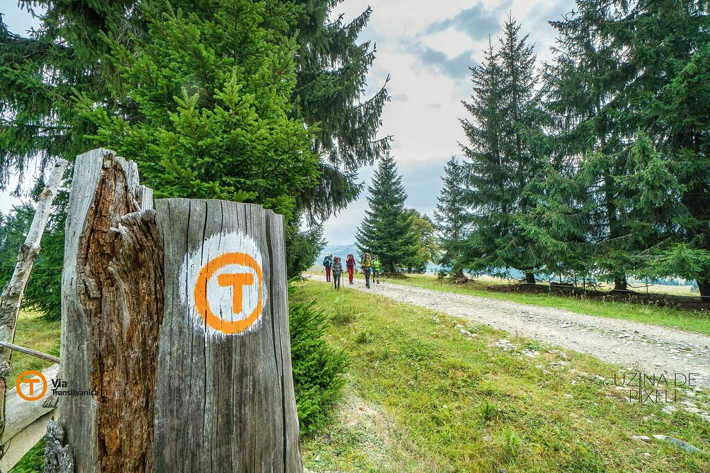 via transilvanica sentier randonnée transylvanie roumanie tourisme 