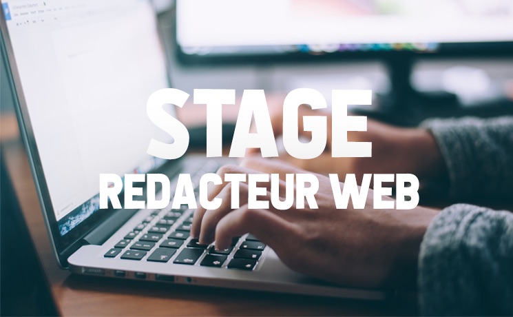 stage rédacteur web le petit journal auckland