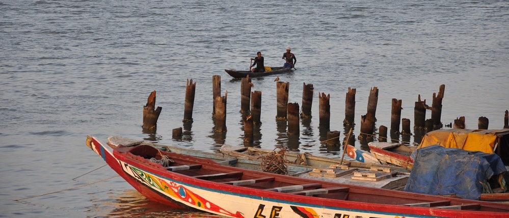 dakar senegal revue de presse 2019