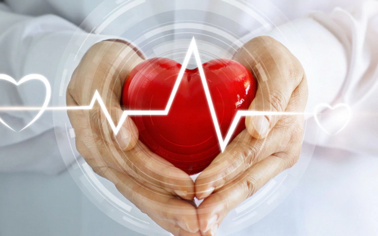 Heart-Valve-Center-745