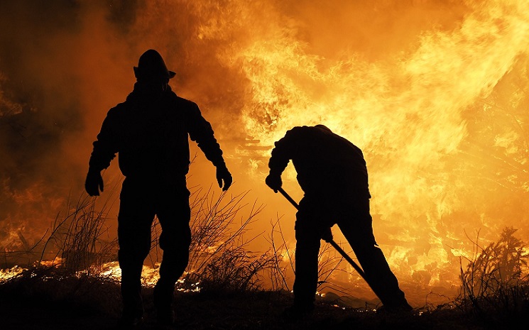 incendie feu parc Biebrzanski Pologne