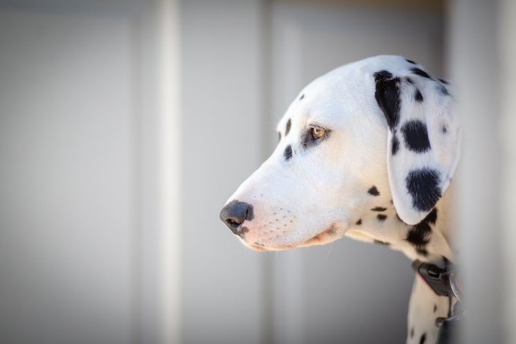 jutta-kamp-NnKGG4wBERk-unsplash