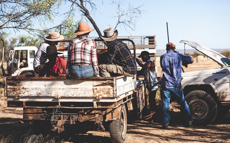 Cow-boy australiens 