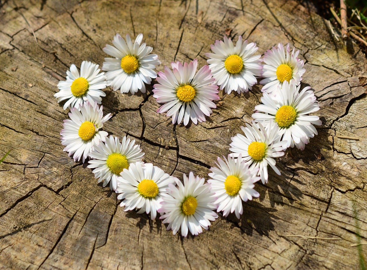 amour turco francophone