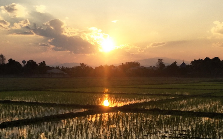 Chiang Mai trail montagne