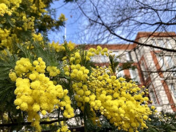 printemps londres hausse températures