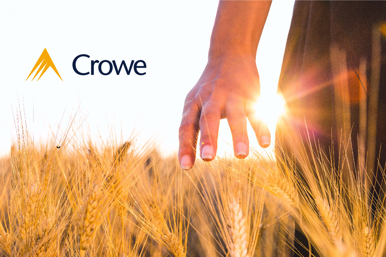 crowe romania