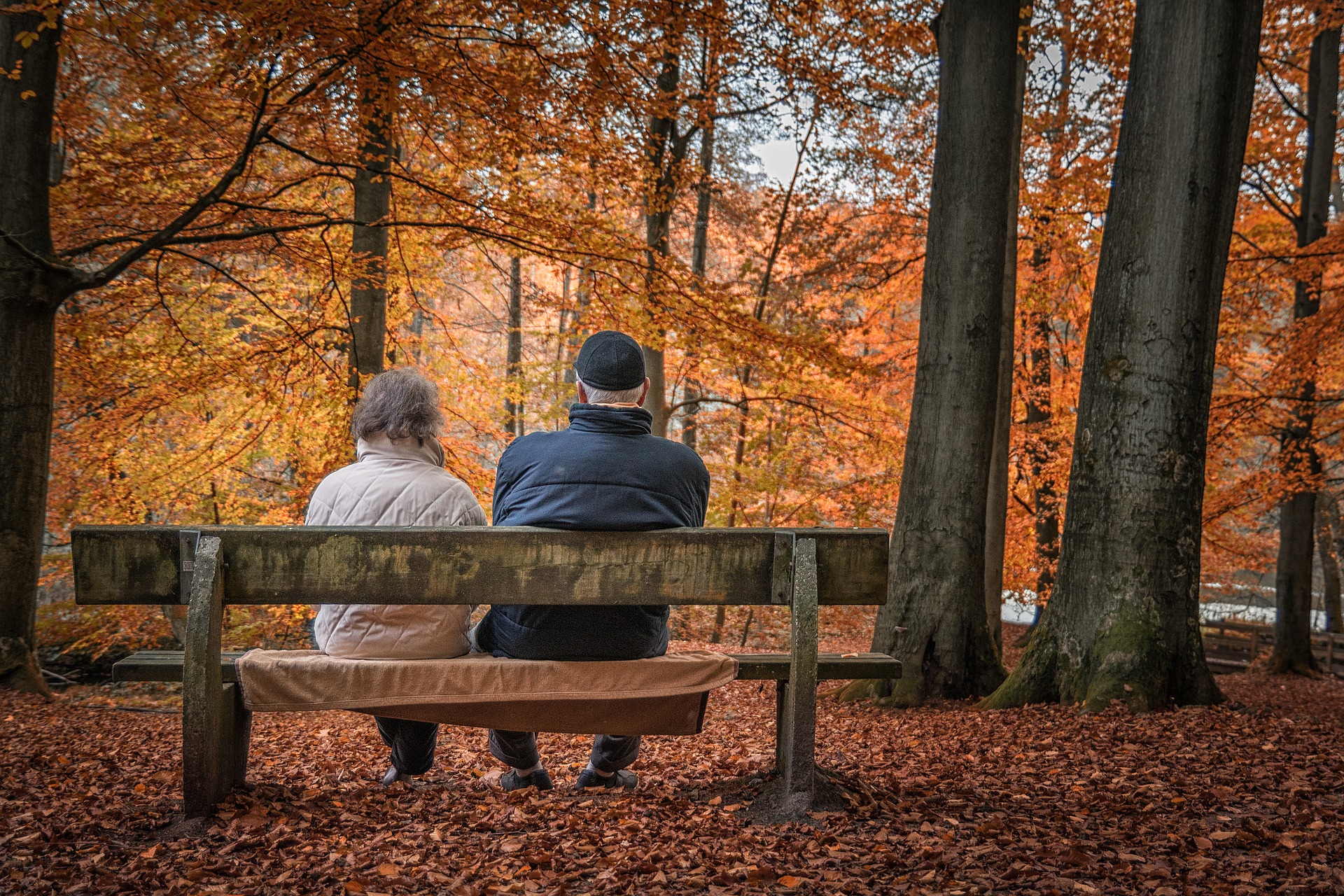 retraités sur un banc en automne