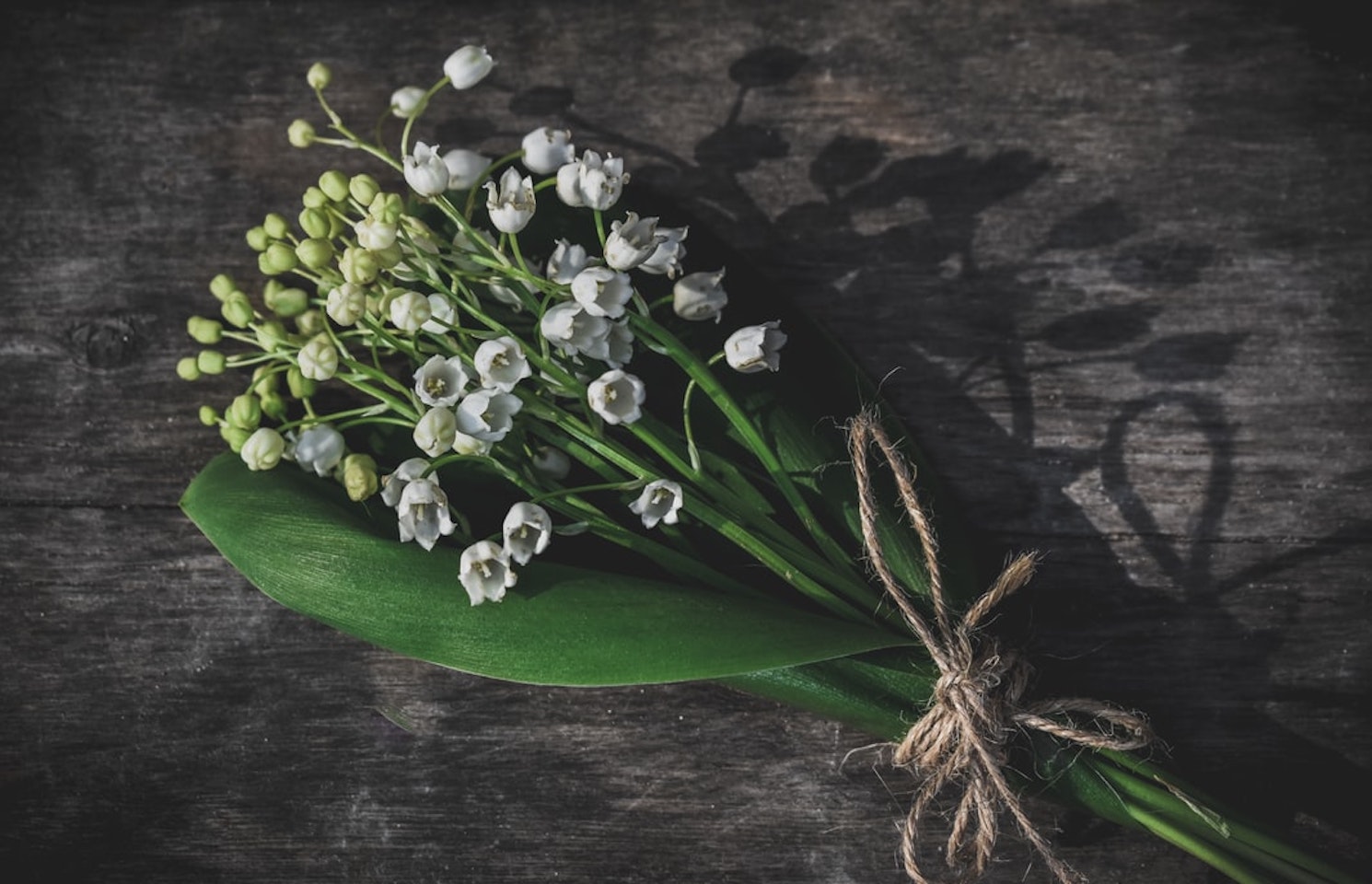 bouquet de muguets