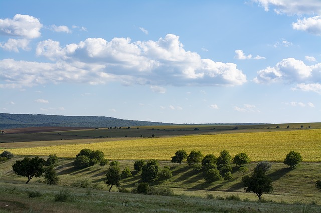 paysage vert de collines en Dobrogea en Roumanie