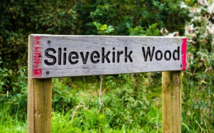 Slievekirk Wood