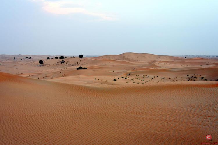 désert dubai