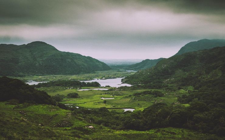 Les remèdes populaires irlandais