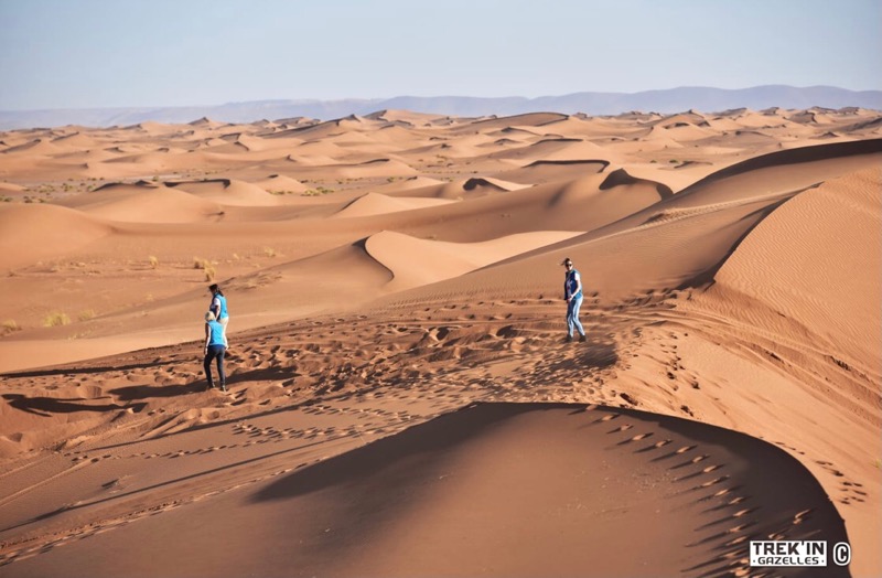 Trek’in gazelles