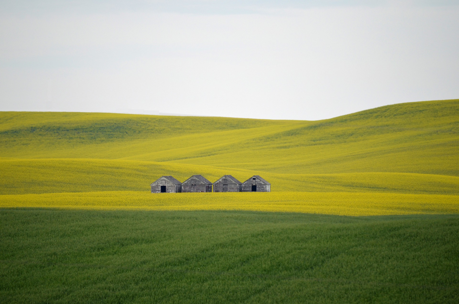 Vente des terres agricoles situées en extra muros: nouvelles législations