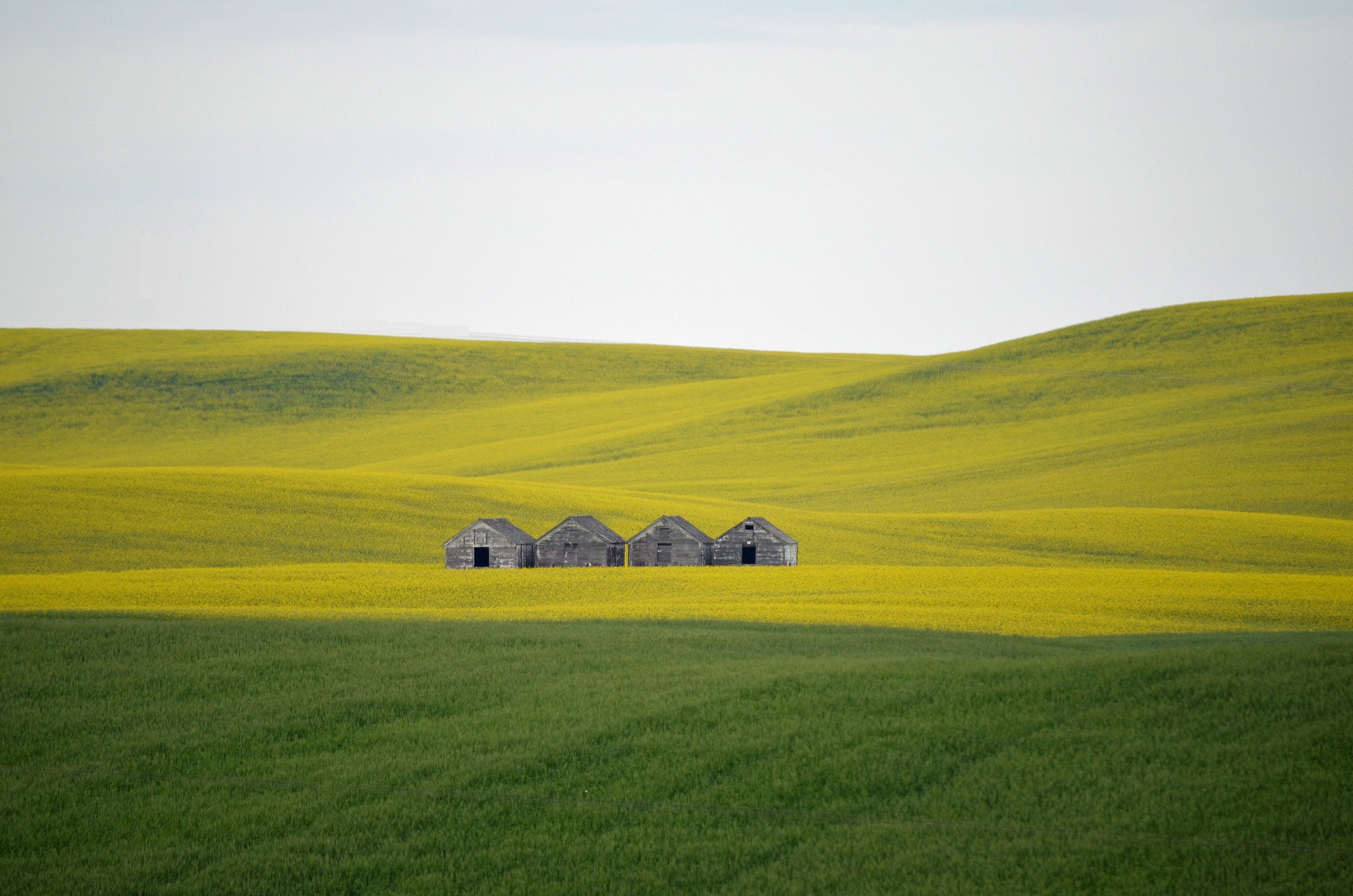 Vente des terres agricoles situées en extra muros: nouvelles législations 