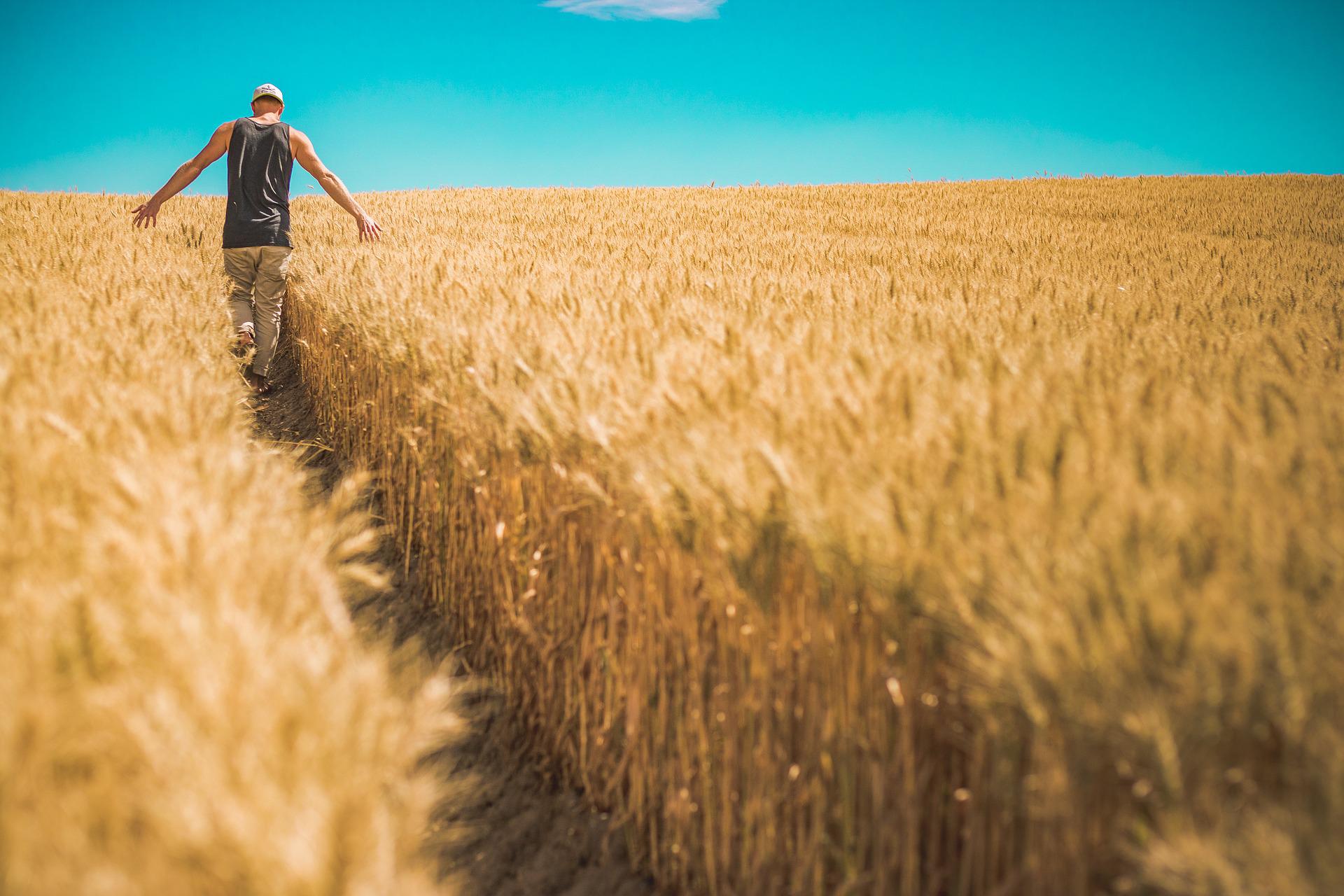 Avantages fiscaux pour les salariés des secteurs de l'agriculture/alimentation