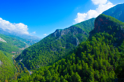 turquie forêt feux