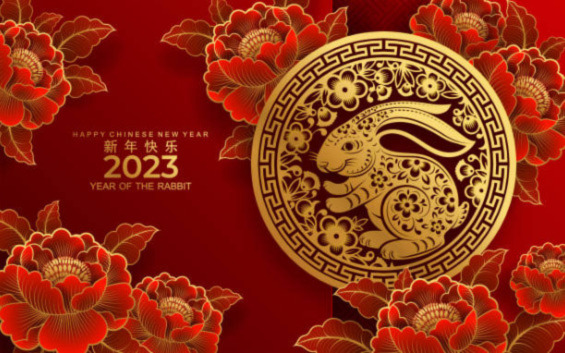 Image de lapin sur fond rouge