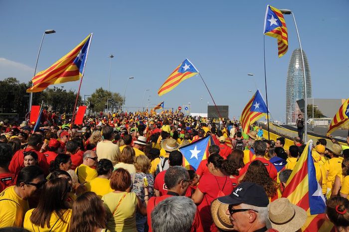 Manifestants lors de la diada de catalunya en 2014