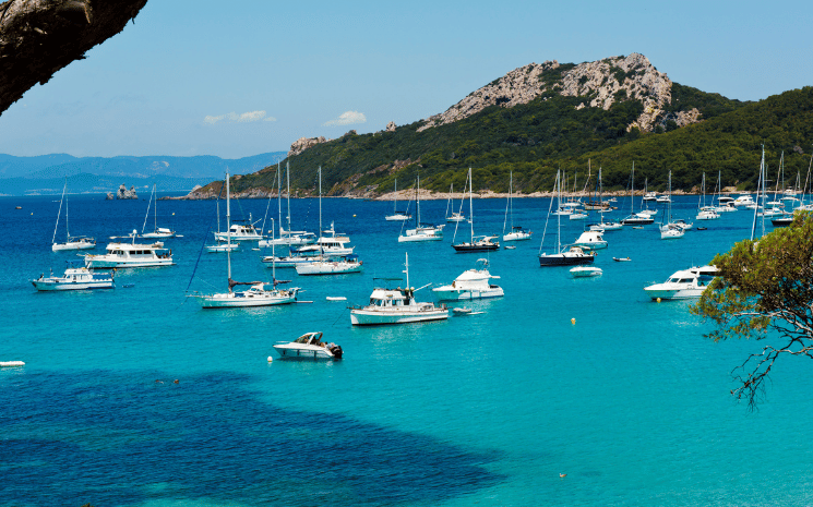 Hyères les Palmiers