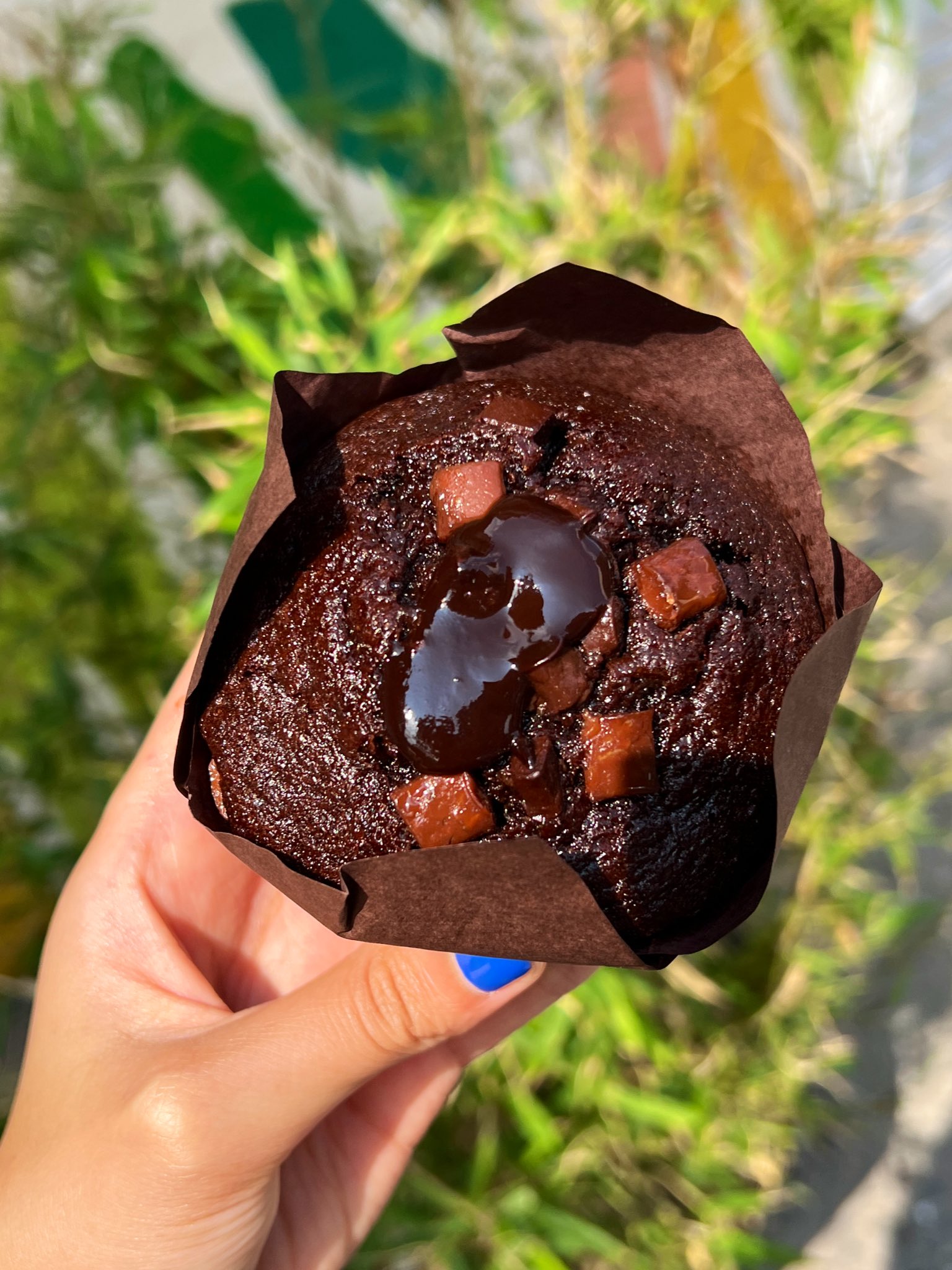 “Crous muffins” are a hit in New York