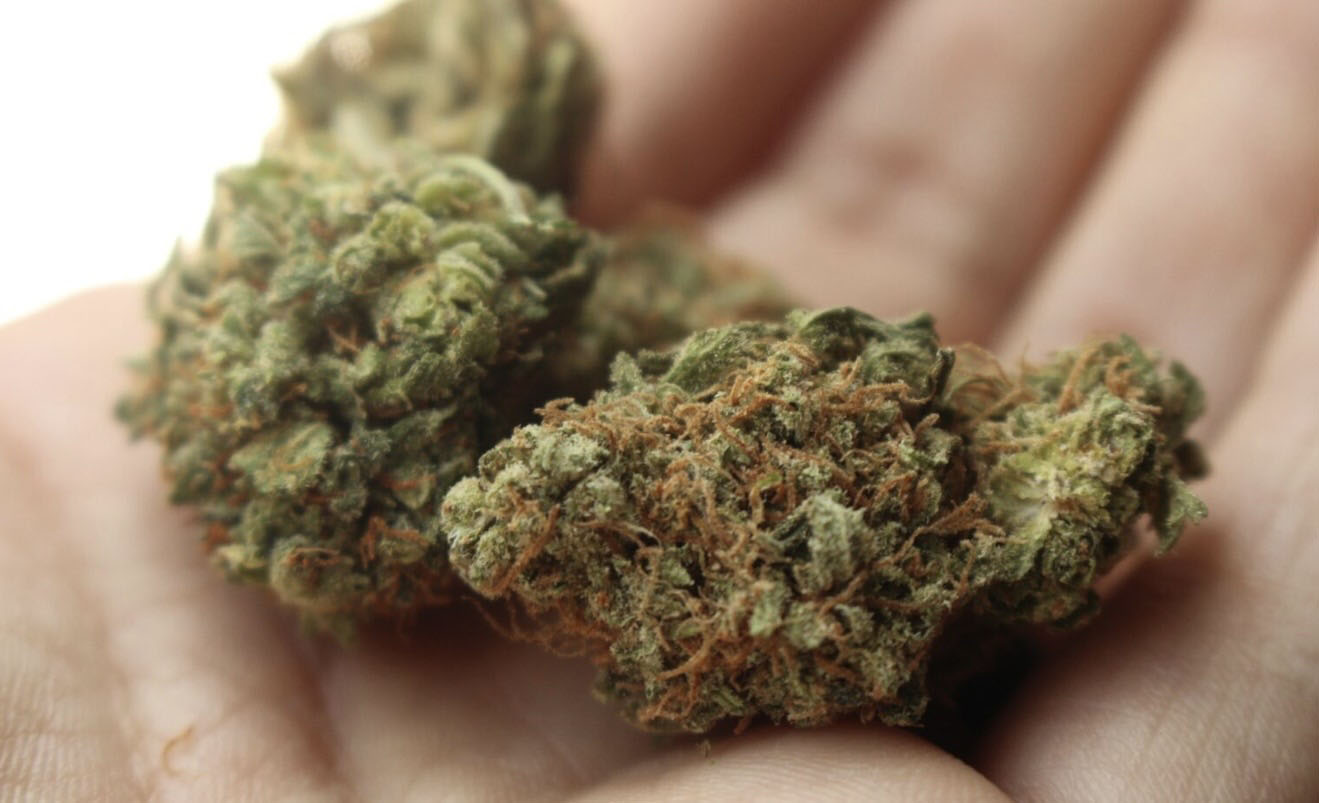Cannabis à Bangkok : une odeur trop forte pour les voisins
