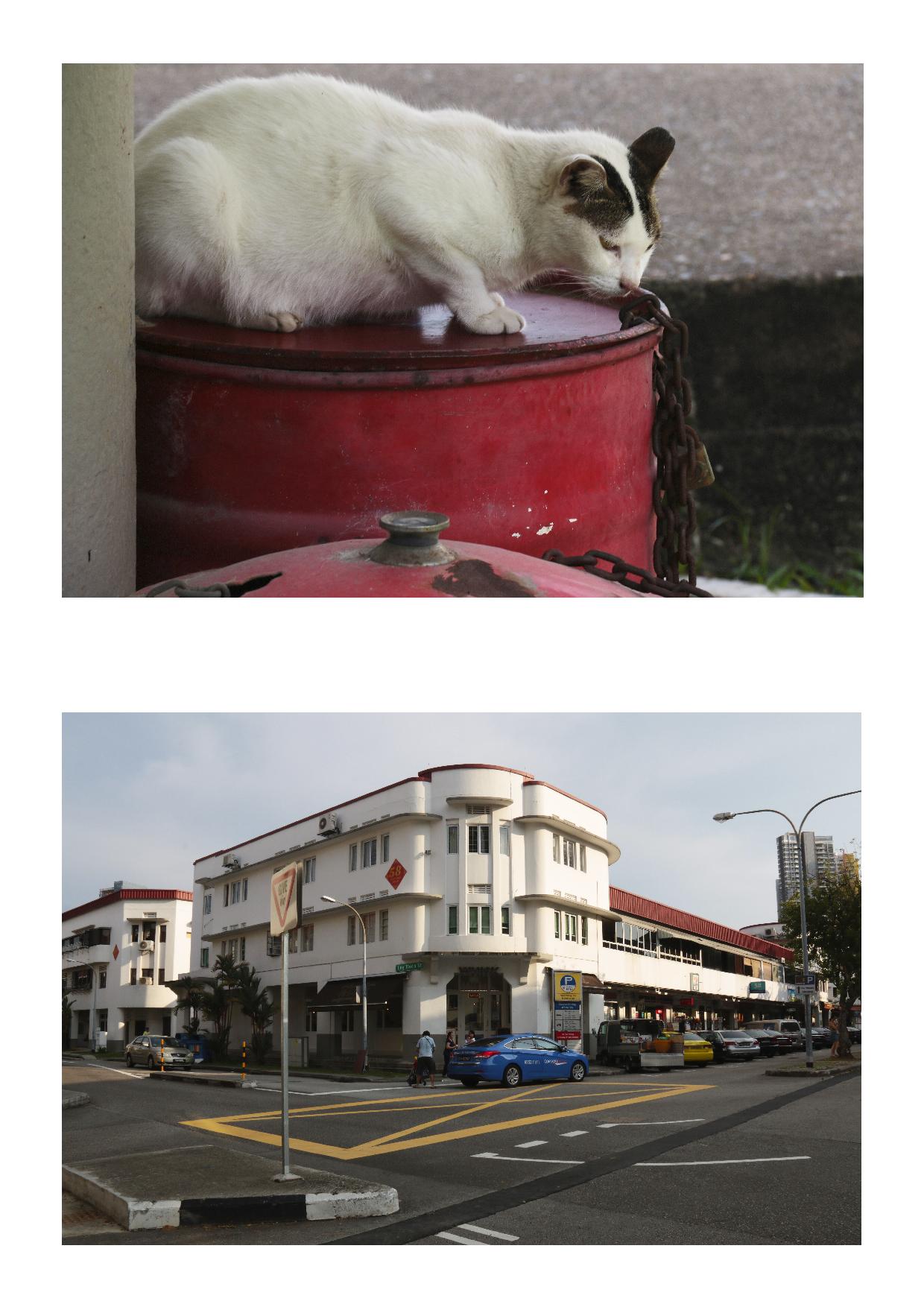 Tiong Bahru