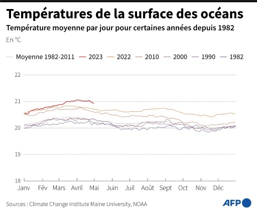 afp