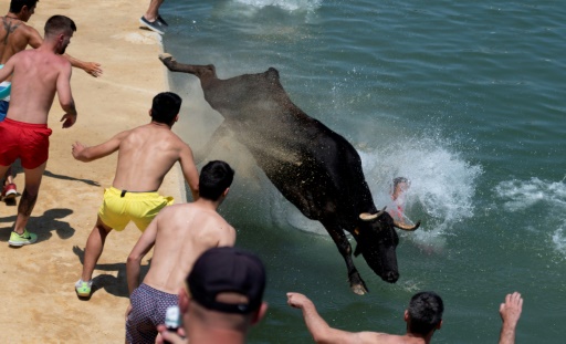 La tradition des lâchers des taureaux lors des fêtes locales n'a jamais fait l'unanimité en Espagne. Mais la mort d'au moins dix personnes cet été a donné de nouveaux argume...