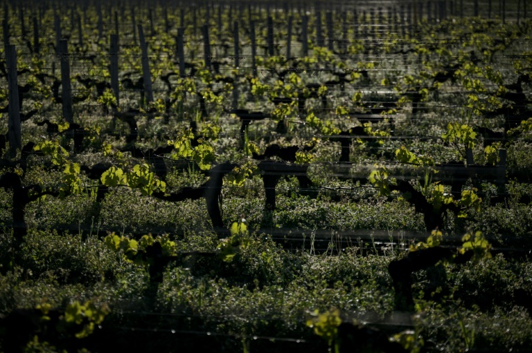 La surexposition aux pesticides des riverains des vignes démontrée par ...