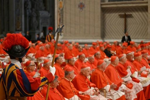 Le Pape François Crée 20 Cardinaux à La Ligne Proche De La Sienne