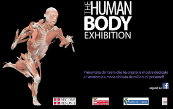 HUMAN BODY EXHIBITION - Le corps dans tous ses états