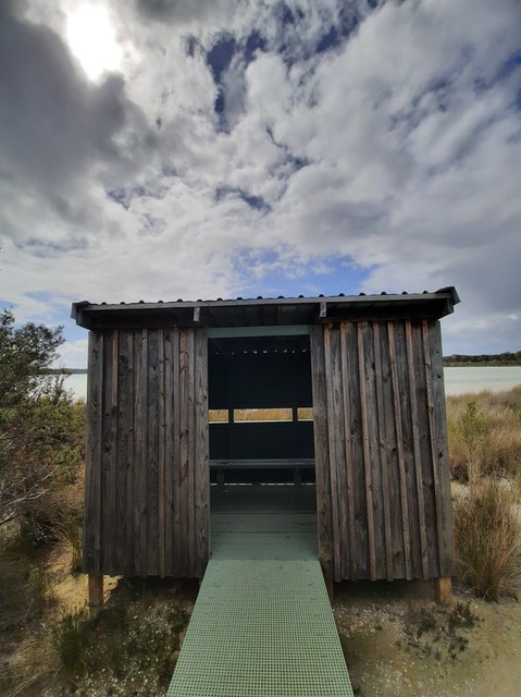 bird hide