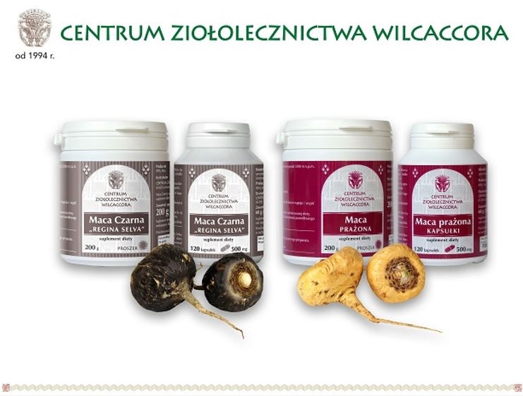 Wilcaccorra