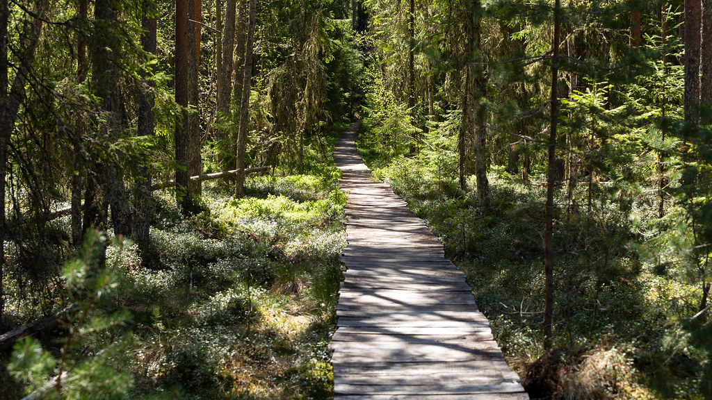 via-transilvanica-sentier-roumanie