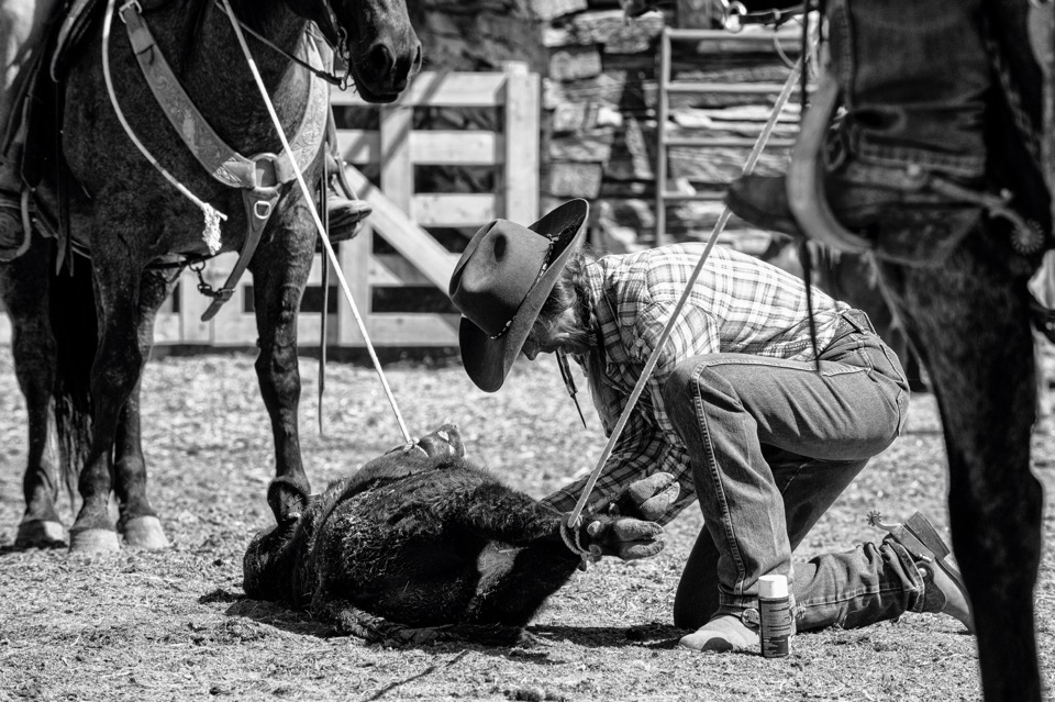 Cowgirl