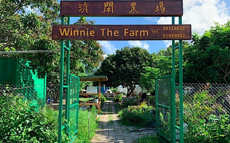 Winnie fermière hong kong