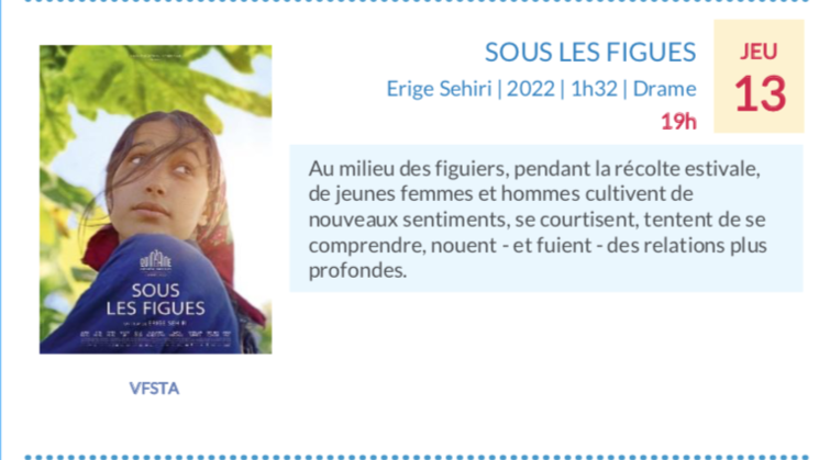 Programmation IFI juillet 2023