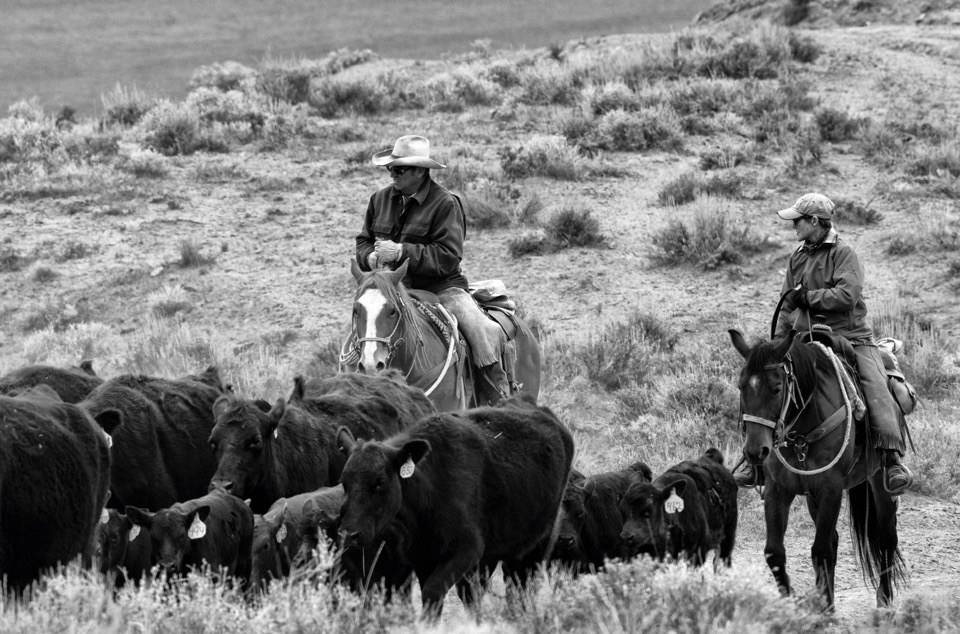 Cowgirl