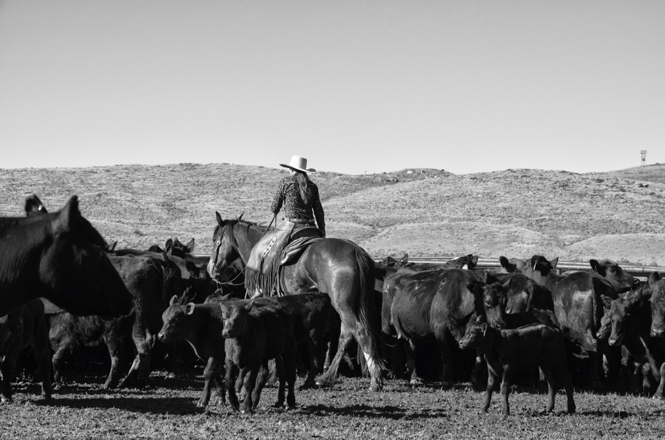 Cowgirl