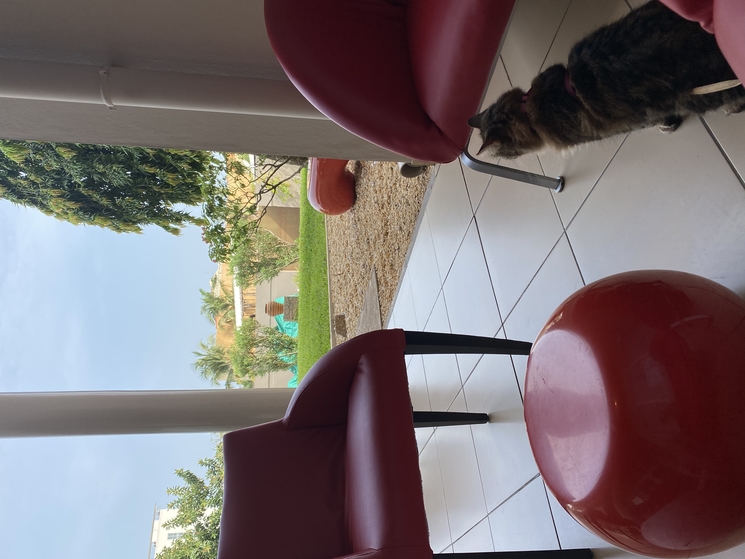 Espace extérieur de l’ibis hôtel cotonou