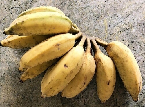 Banane de la variété awak