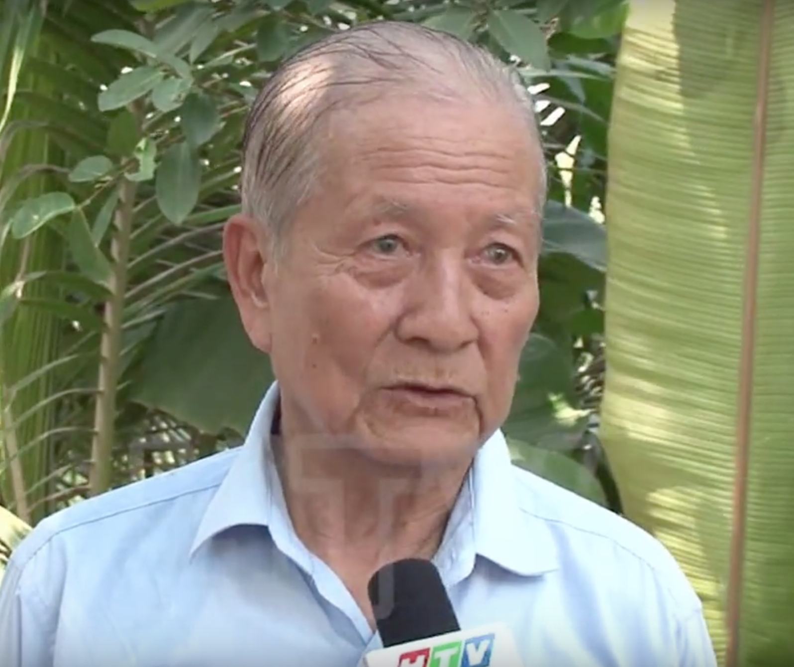 VAN CONG NGUYEN