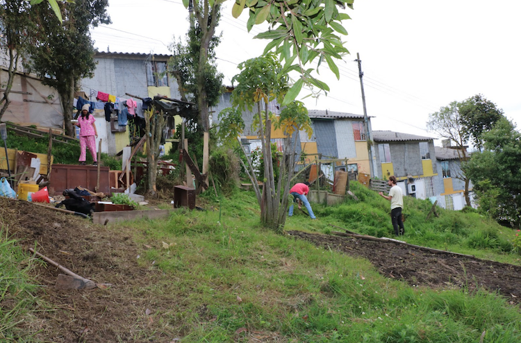 agroecologie Bogota