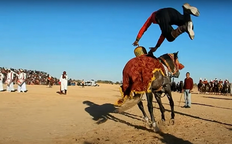 FESTIVAL DE DOUZ CHEVAUX.jpg 